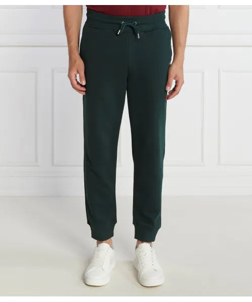 

Спортивные штаны Regular fit Gant, зеленый