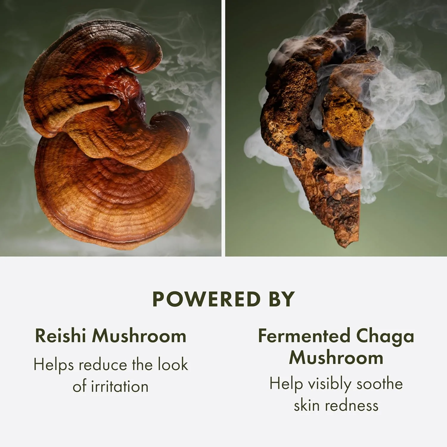 Крем для лица Origins — Для восстановления кожи на ночь Mega-Mushroom с рейши, ферментированной чагой и примулой, 50 мл — фото 4