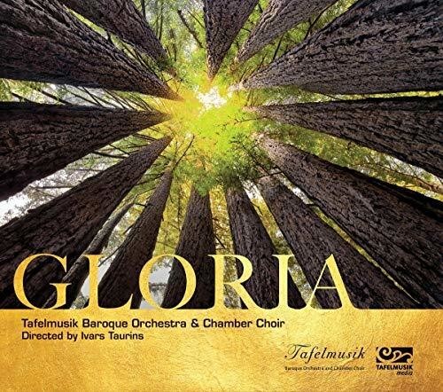 

CD диск Bach, J.S. / White: Gloria