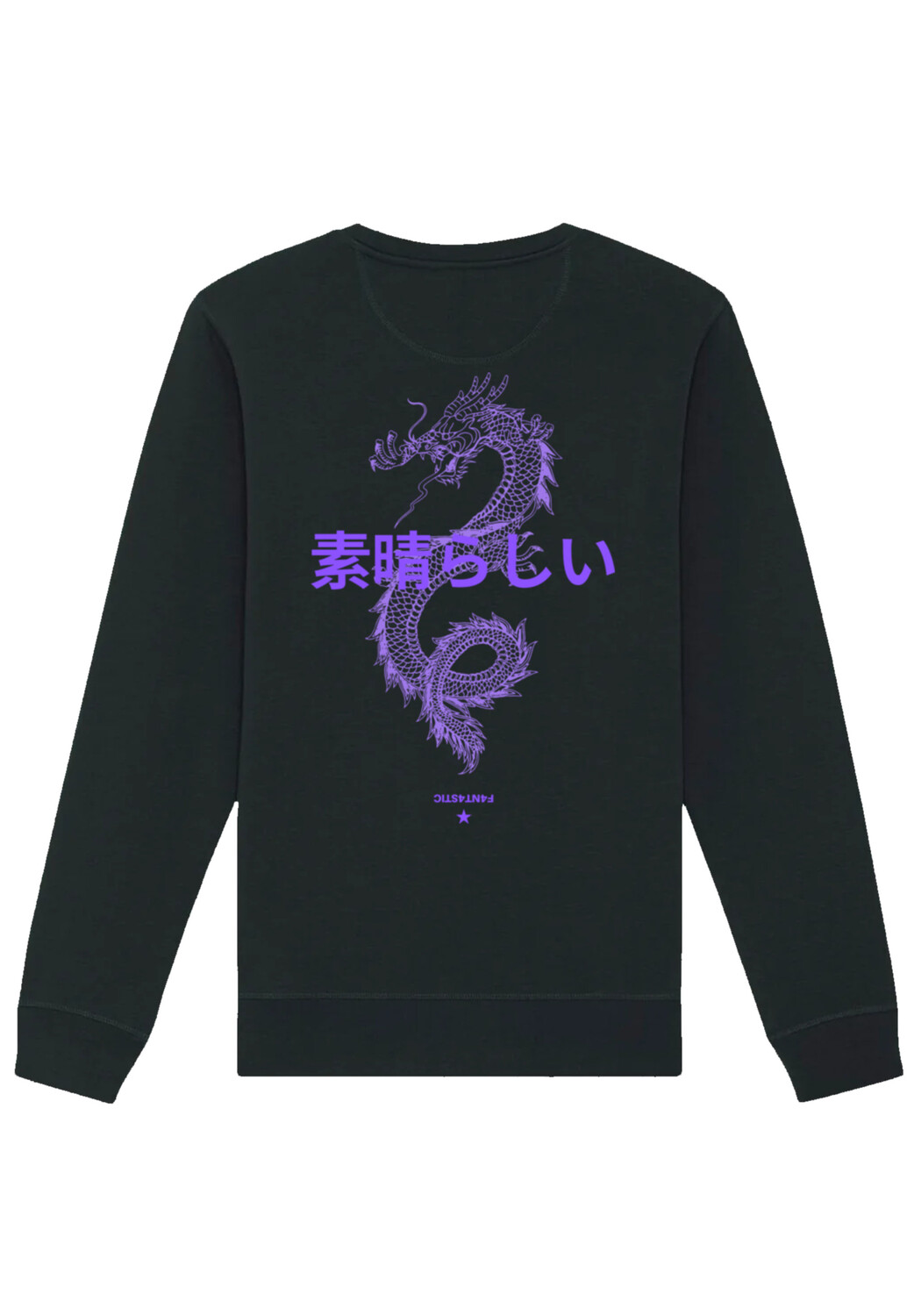 

Толстовка F4NT4STIC Unisex Drache Japan, черный