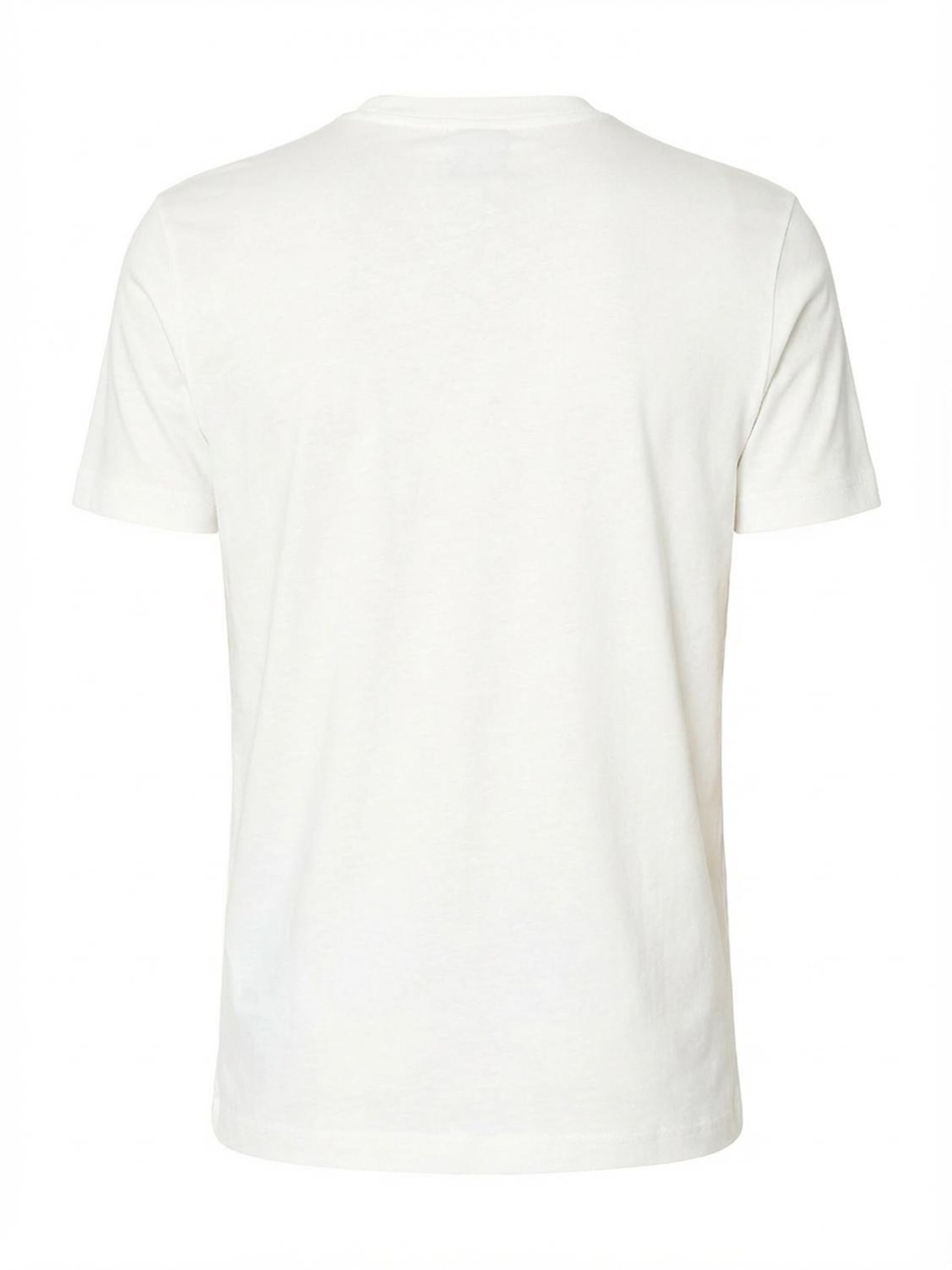 DIESEL Футболка 'T-DIEGOR-E12' в цвете Natural White — фото 2