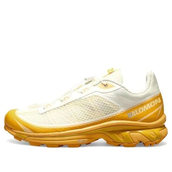 

Кроссовки xt-6 ft 'vanilla buckskin' 471514 Salomon, белый