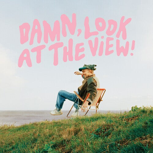 

Виниловая пластинка Brown, Martin: Damn, Look at the View !