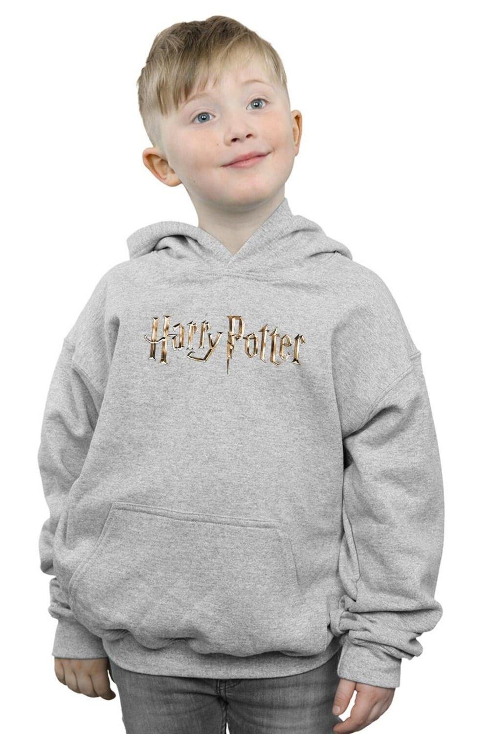 

Толстовка с полноцветным логотипом Harry Potter, серый