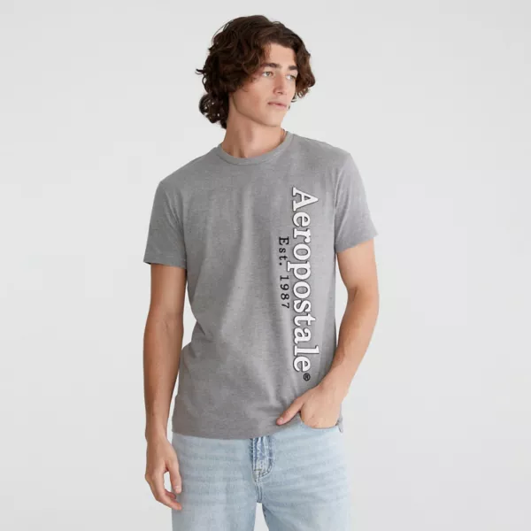 

Мужская графическая футболка Aeropostale, серый