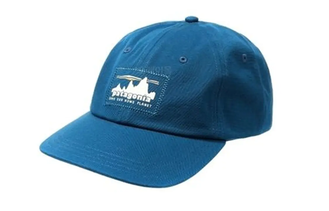 

Patagonia Хлопковая бейсболка мужская синяя, Blue