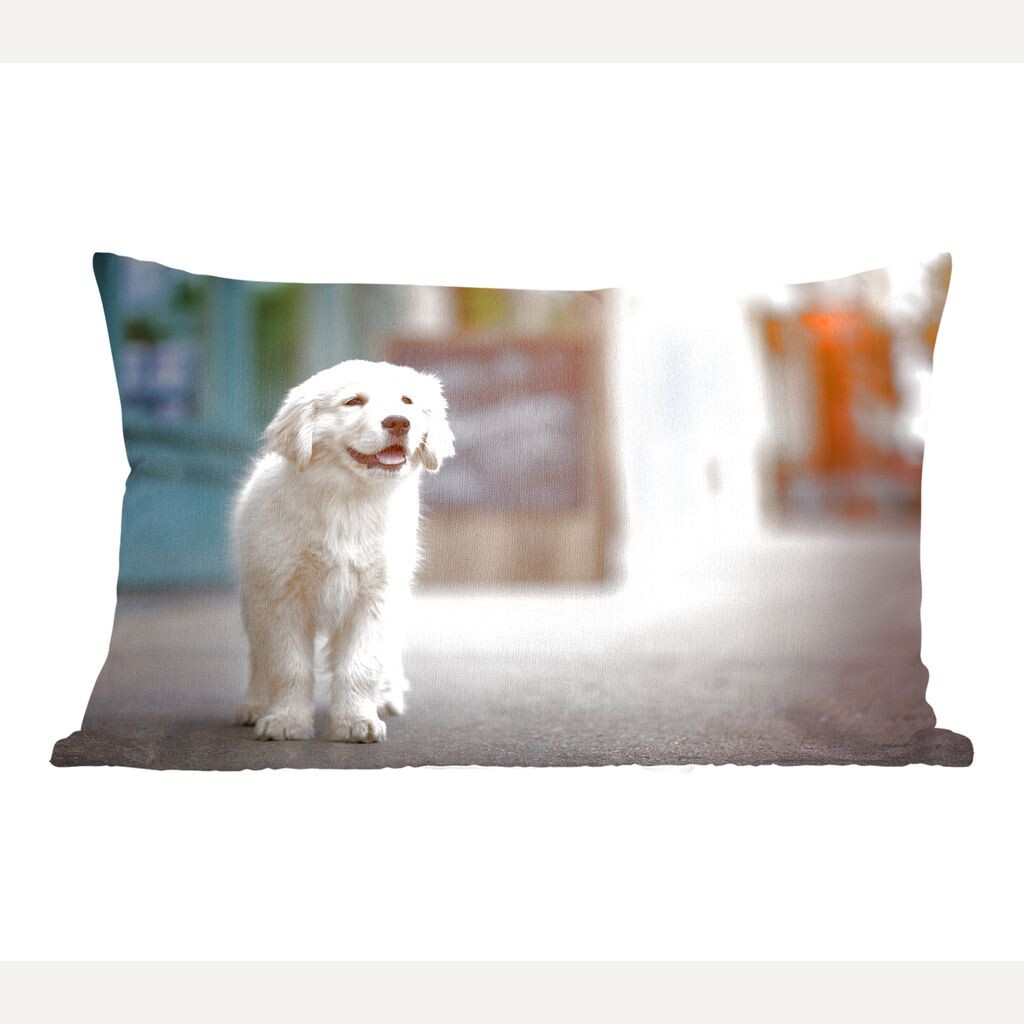 

MuchoWow Golden Retriever - Щенок золотистого ретривера гуляет по тротуару - 50x30 см - Чехлы на диванные подушки - без наполнителя