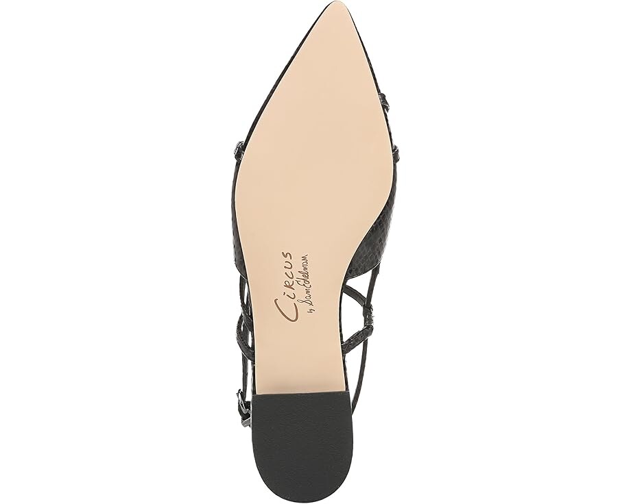Туфли на плоской подошве Circus NY by Sam Edelman Lindley, цвет Black Snake — фото 3