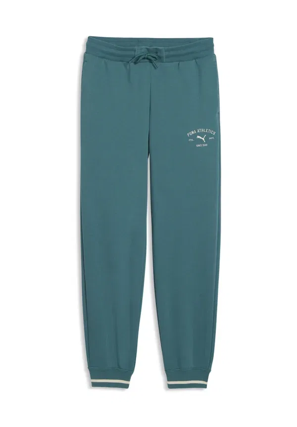 Спортивные штаны Puma Class Graphic Tracksuit Bottoms, изумрудный лёд — фото 4