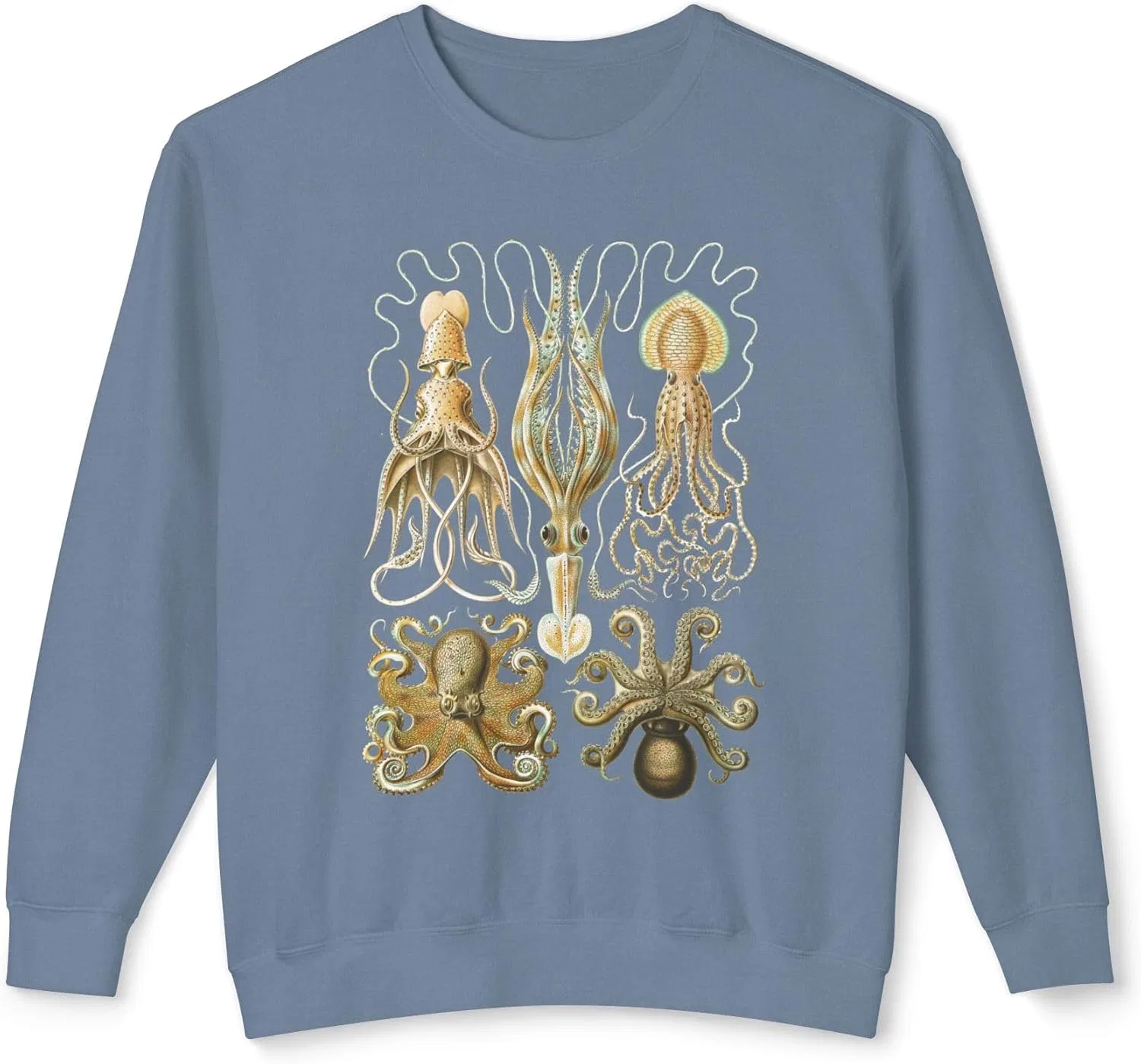 Легкий свитшот Octopods с винтажной иллюстрацией осьминога Ernst Haeckel, унисекс-джемпер в стиле научной природы GENERIC, синий