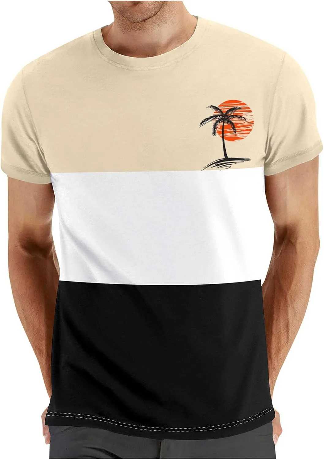 

Мужская футболка с принтом Coconut Palm, цветной блок, короткий рукав, Regular Fit