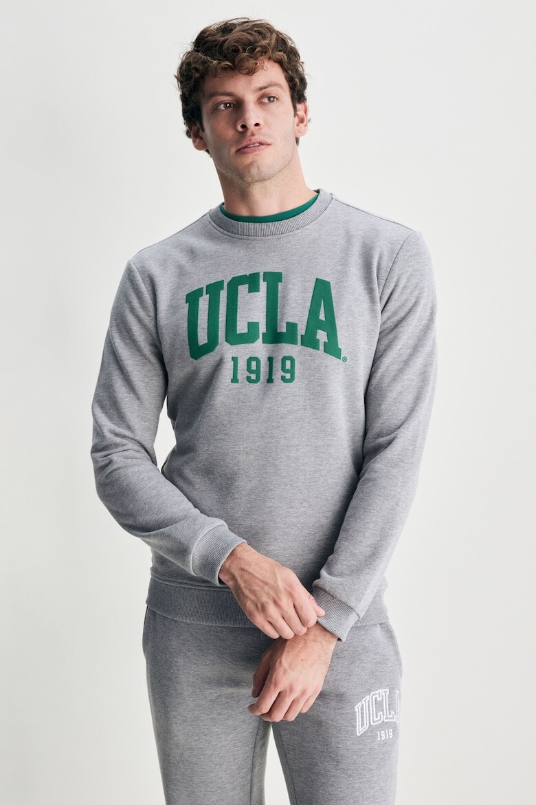 

Толстовка Baldwin с логотипом Ucla, зеленый