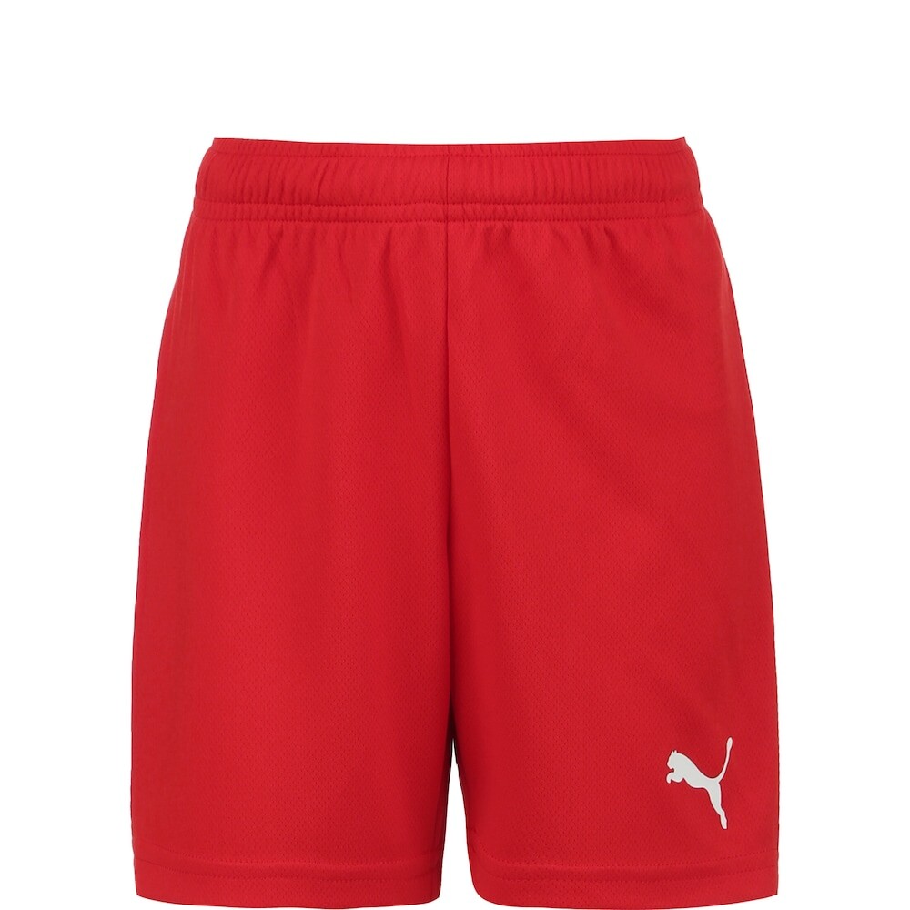 

Обычные тренировочные шорты Puma TeamRise, красный