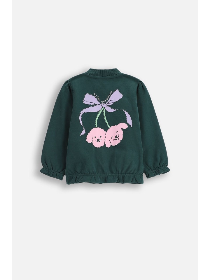 

Толстовка Coccodrillo, зеленый