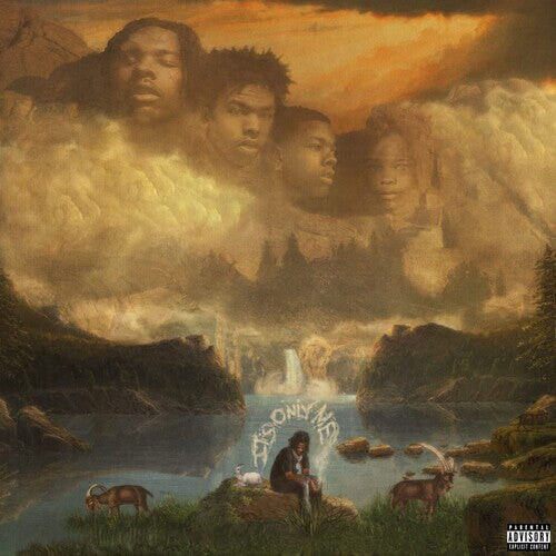 

Виниловая пластинка Lil Baby: It's Only Me