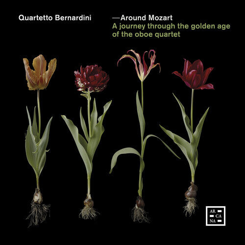 

CD диск Around Mozart / Various: Around Mozart