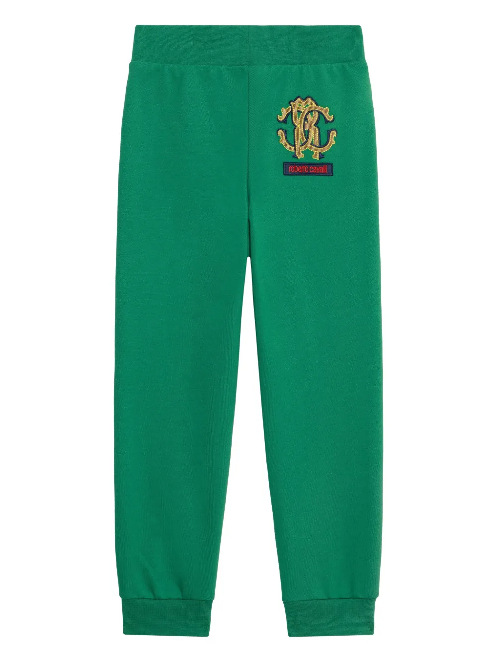 

Спортивные брюки с вышитой монограммой Roberto Cavalli, зеленый