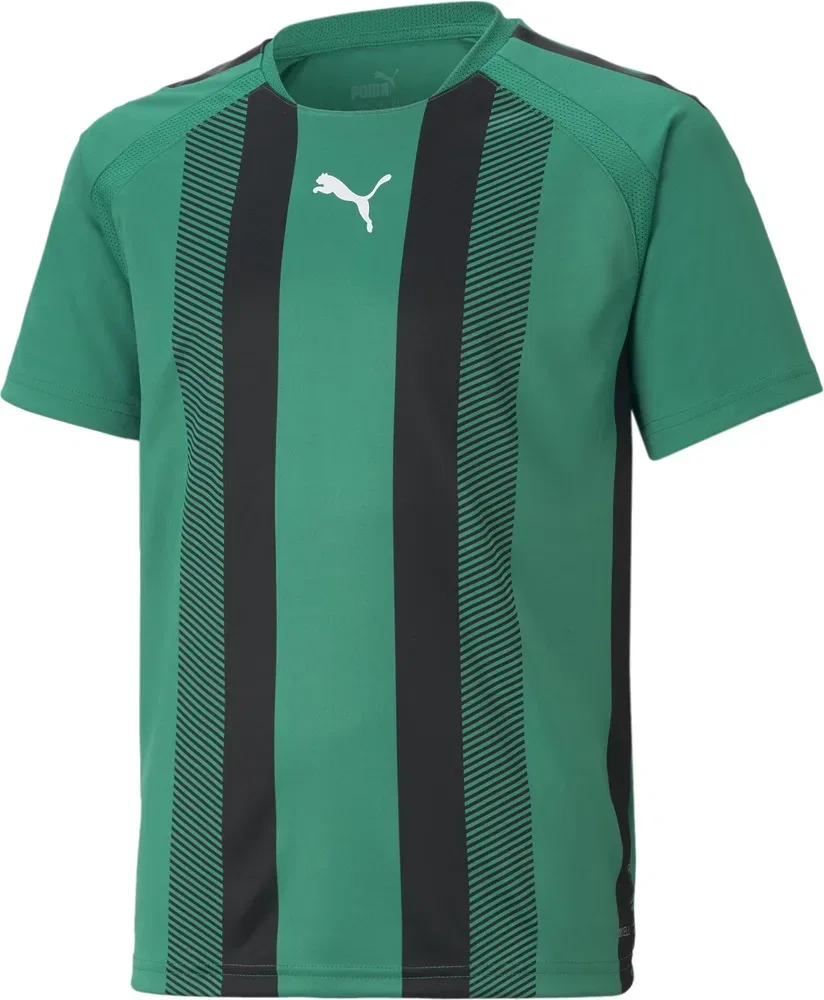 Футбольная футболка TeamLIGA Striped Jersey Jr, Puma, зеленый