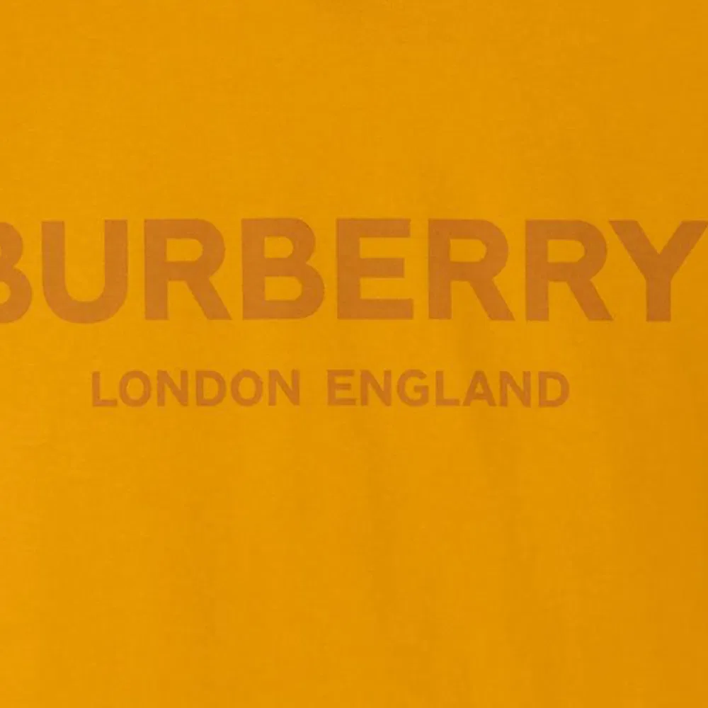 Футболка мужская Burberry Ochre с круглым вырезом — фото 4