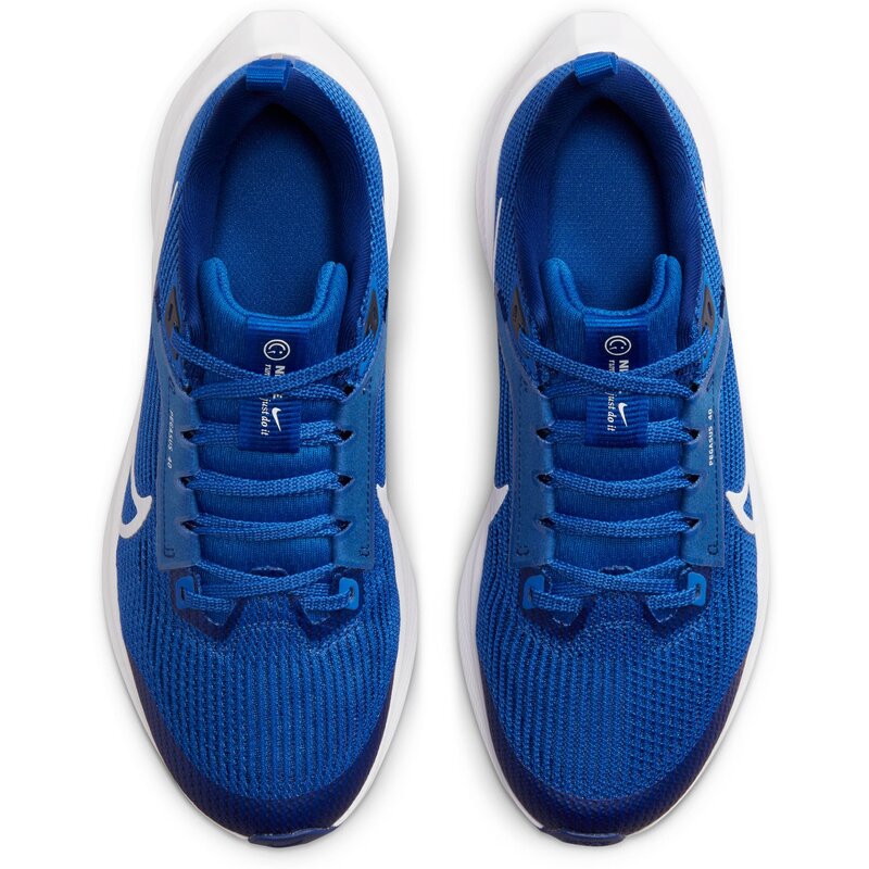 Повседневные кроссовки Air Zoom Pegasus 40 GS Nike, мультиколор — фото 4