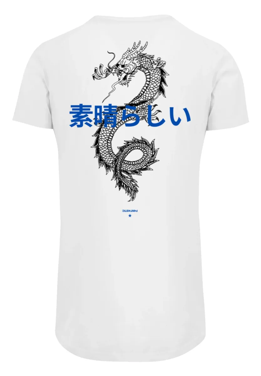 

Футболка F4NT4STIC "PLUS SIZE Dragon Dragon Japan", принт, белый