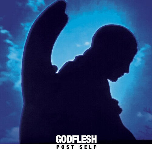 

Виниловая пластинка Godflesh - Post Self