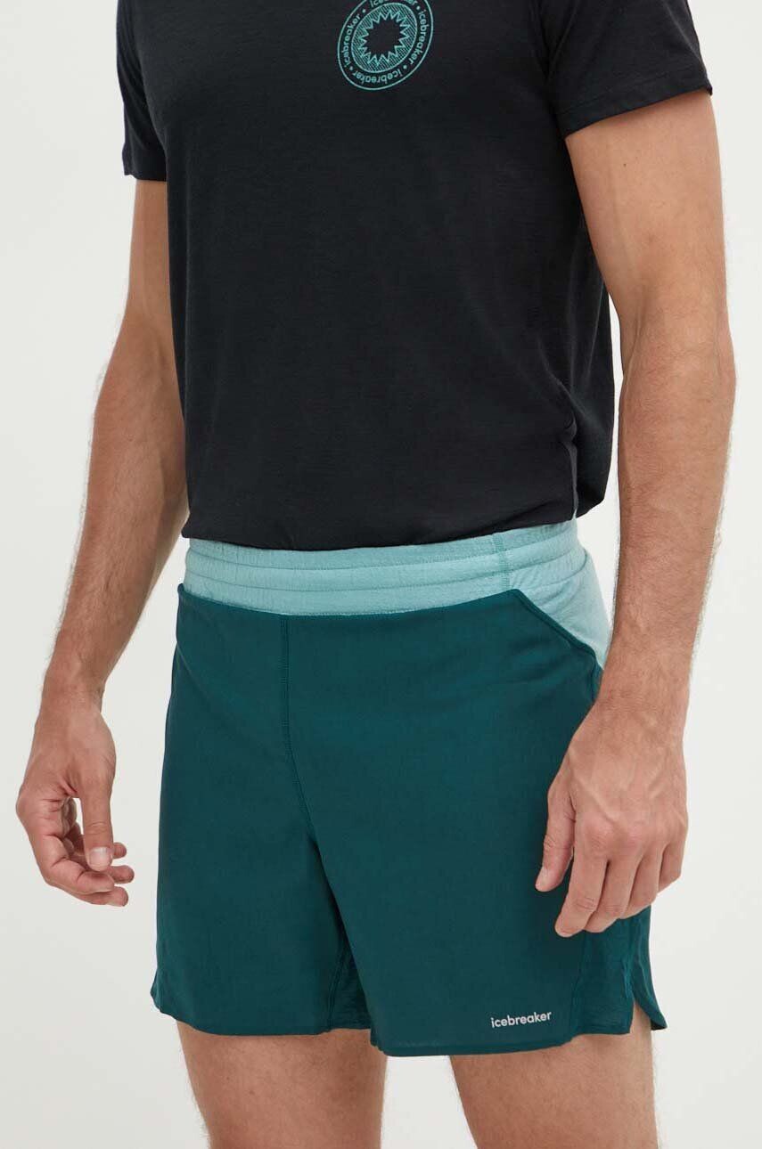 

125 шорты ZoneKnit Merino Blend Speed для улицы Icebreaker, зеленый