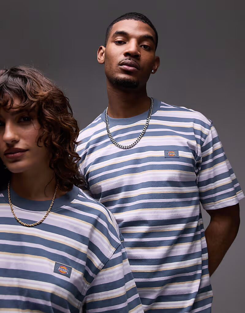

Футболка Dickies Glade Spring в полоску, средне-синего цвета