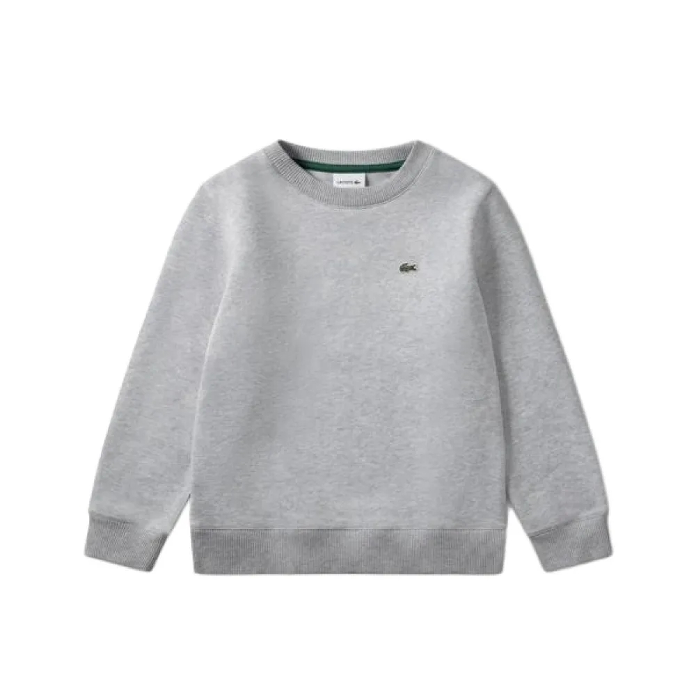

Толстовка Lacoste Kids 847029, серый