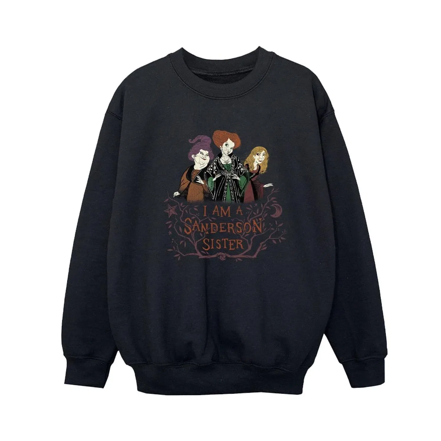 Худи Hocus Pocus Sanderson Sisters Disney, черный — фото 2
