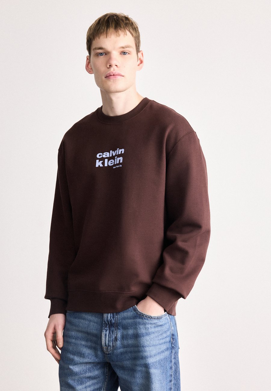 

Толстовка Calvin Klein RETRO GRAPHIC CREW, Rich Brown/Dark Brown