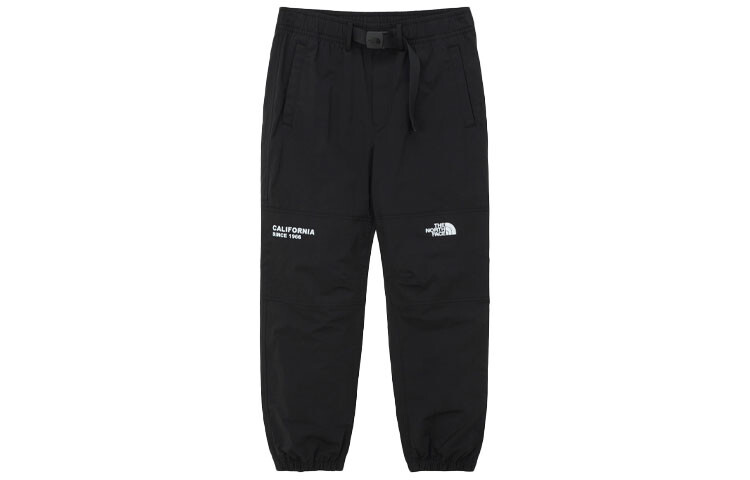 

THE NORTH FACE Мужские спортивные штаны, цвет Black