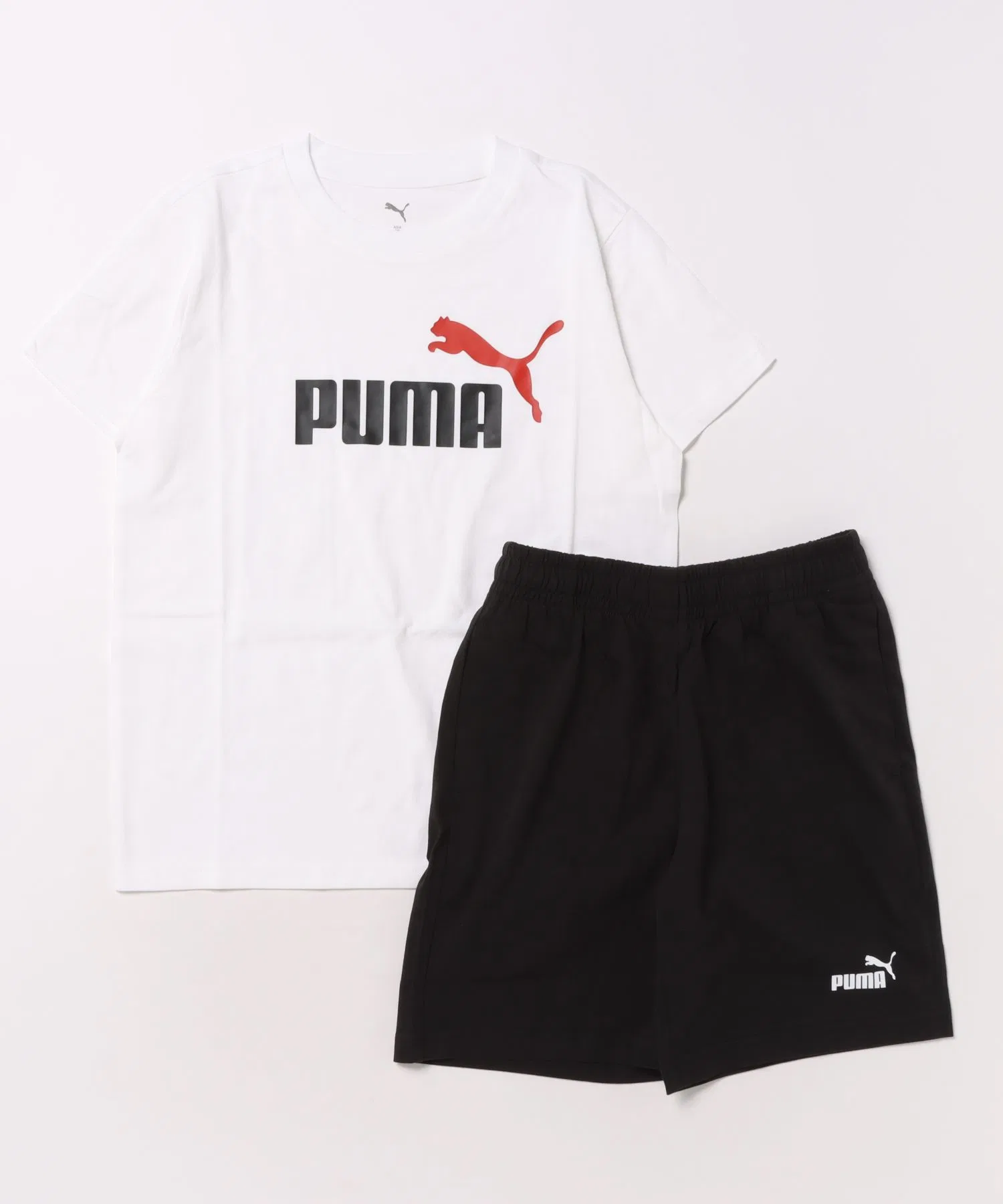 Комплект PUMA ESS 2 COLOR NO. 1 LOGO: футболка и шорты (B)