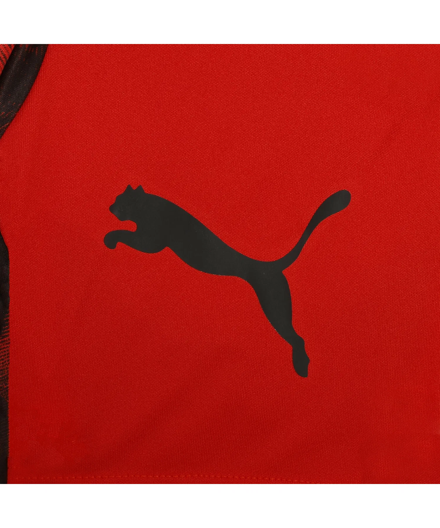 Детская футболка PUMA INDIVILIGA Graphic S/S Tee — фото 4