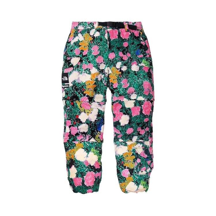 

Брюки Supreme x The North Face Trekking Zip-Off Belted Pant, разноцветный