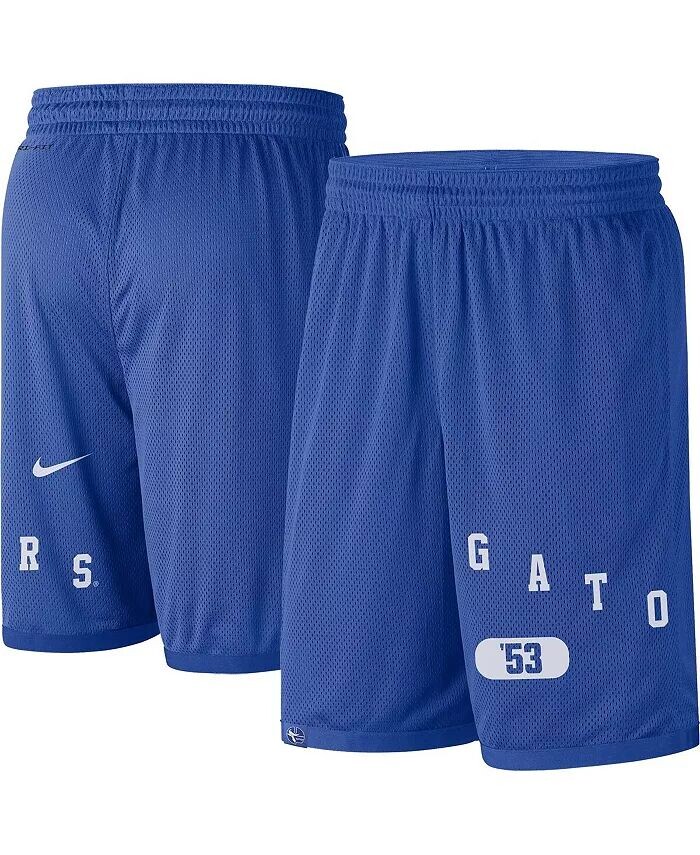 

Мужские шорты с надписью Royal Florida Gators Nike