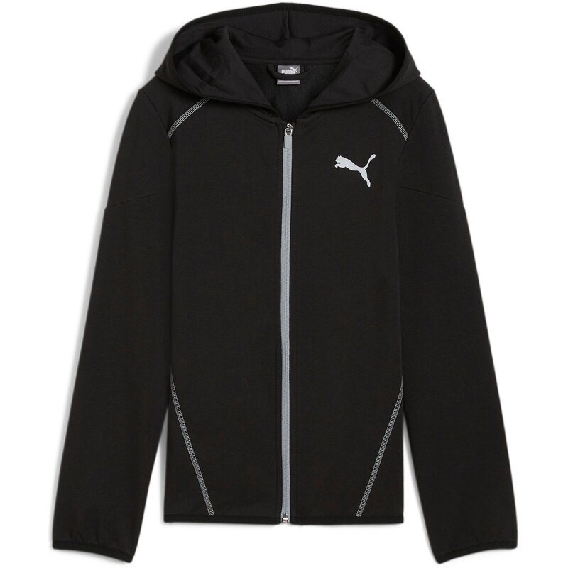 

Толстовка Kapuzensweat Active Sports с капюшоном на молнии Puma, черный