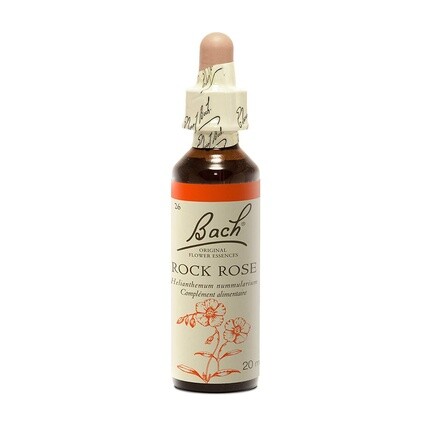 

Schwabe Bach Rock Rose гомеопатический продукт 20 мл Schwabe Pharma Italia Srl