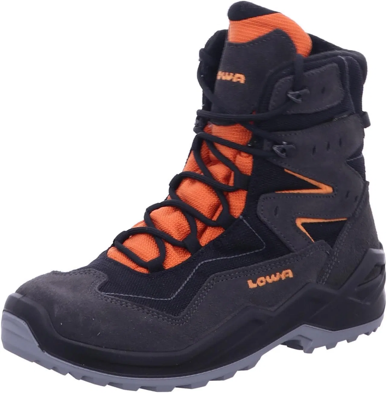 Высокие сапоги LOWA LINO GTX [2024], Gray