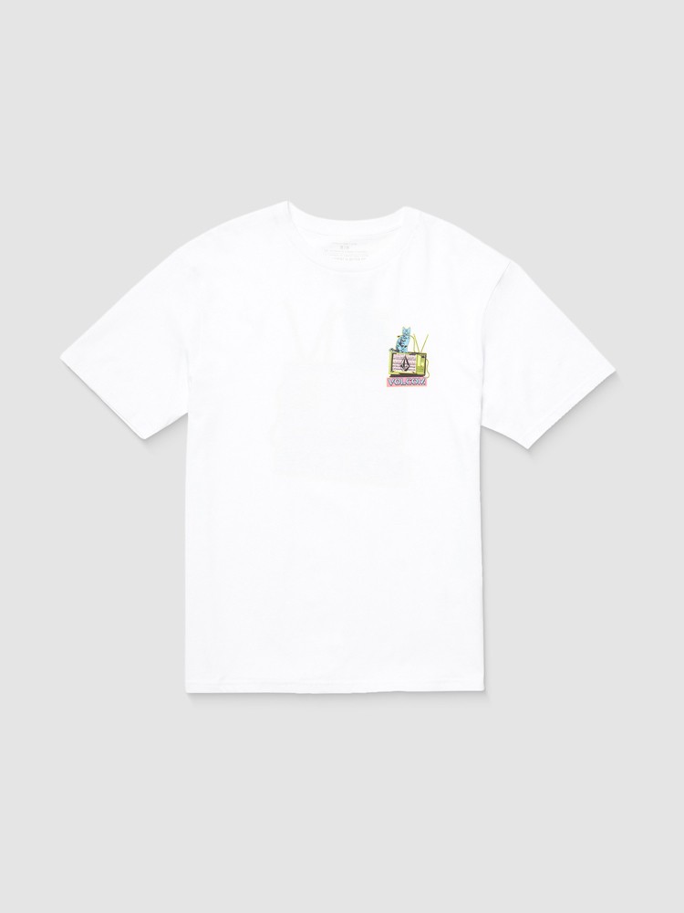 

Футболка Volcom Catv Bsc T-Shirt, white