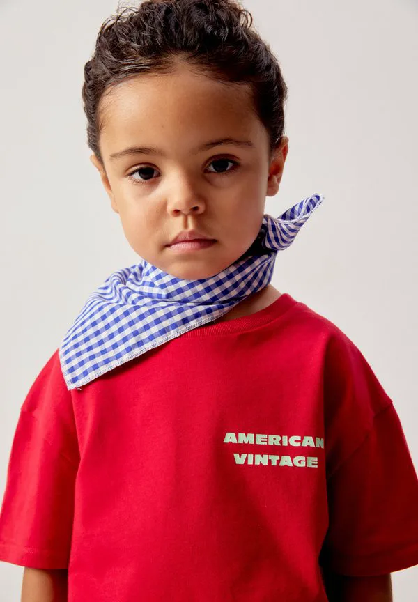 Футболка с принтом «долина физ» American Vintage, Rubis Vintage — фото 4