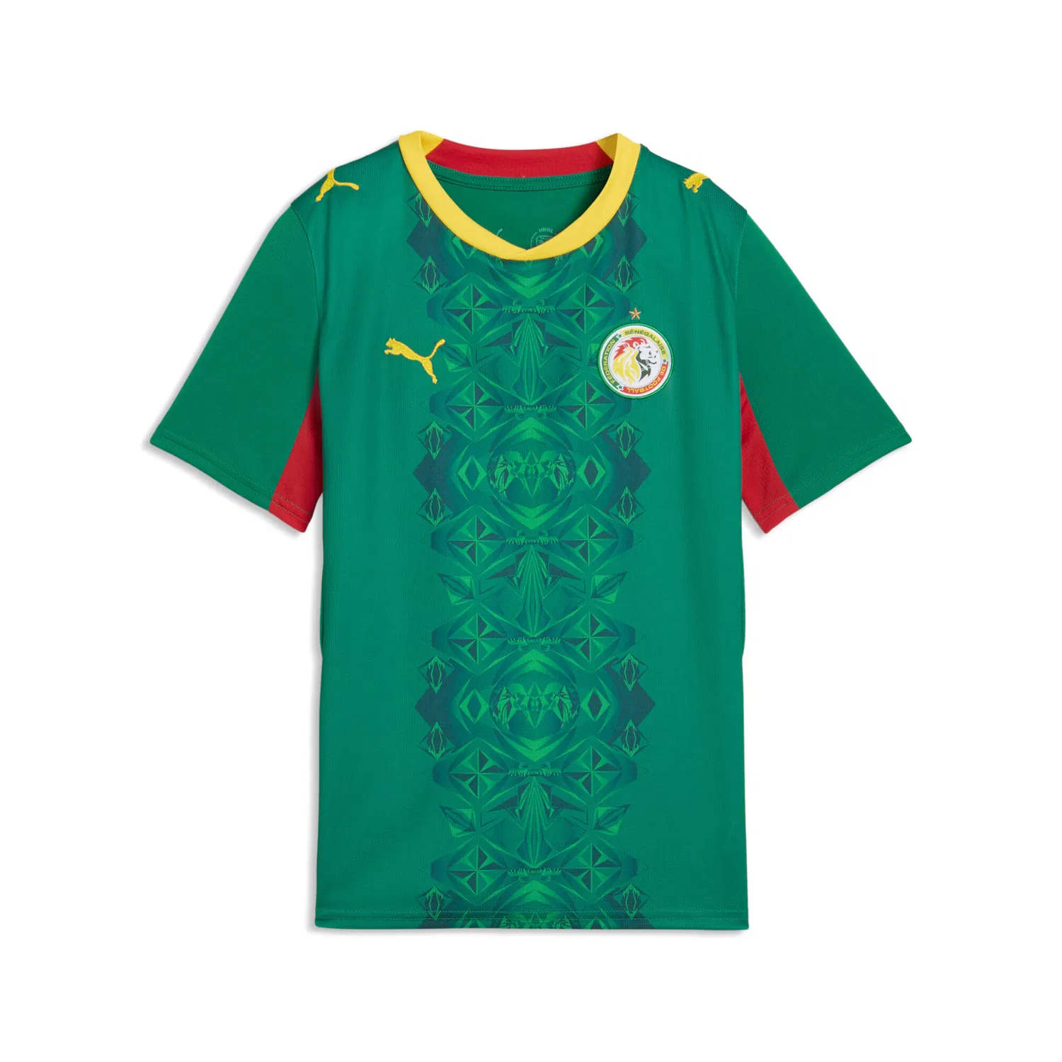 Спортивная футболка 'Сенегал 2026' Puma, Green
