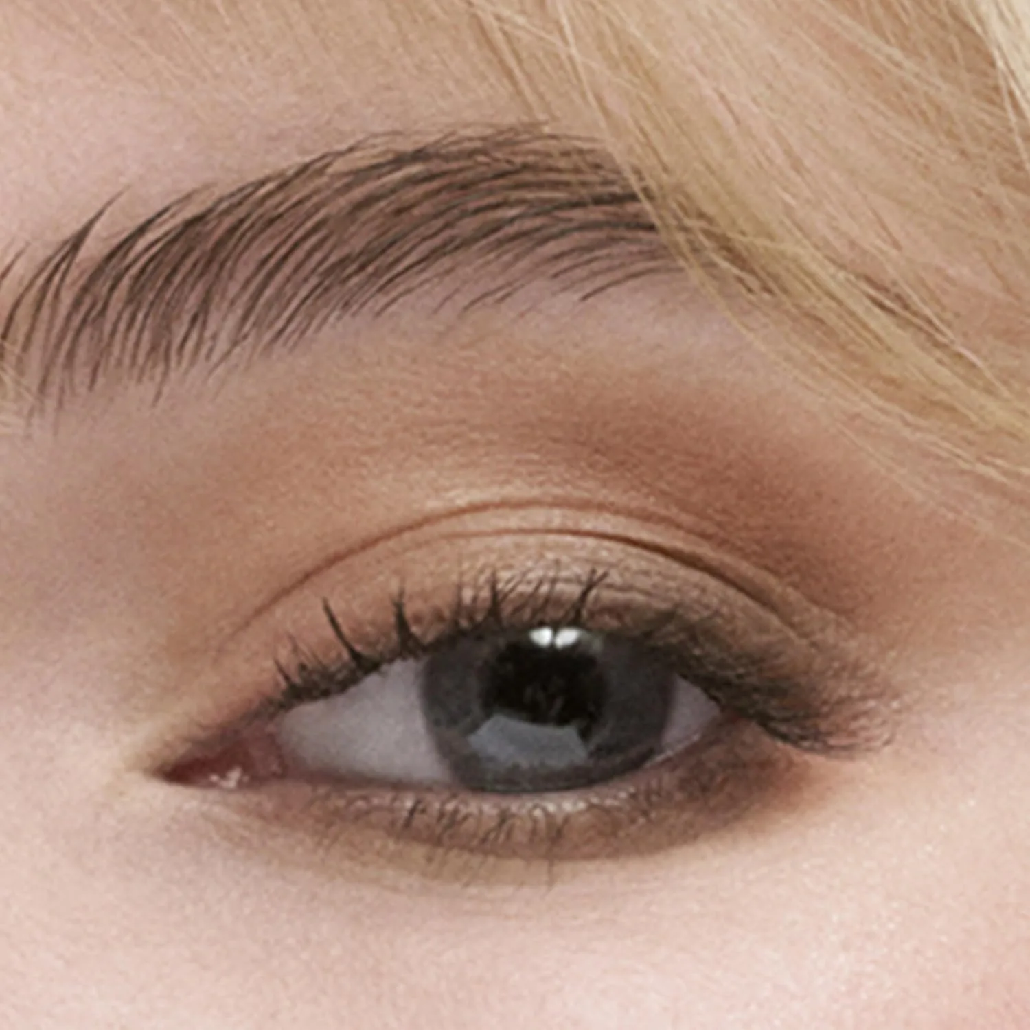Палетка теней для век Estée Lauder The Essential Eyeshadow Quad Long-Lasting Palette | Shape, Sculpt, Magnify, 0.14 унции, Gallery Hop - Neutral: pale cream (matte), soft beige (matte), warm camel brown (matte) and rich brown (matte) — фото 2