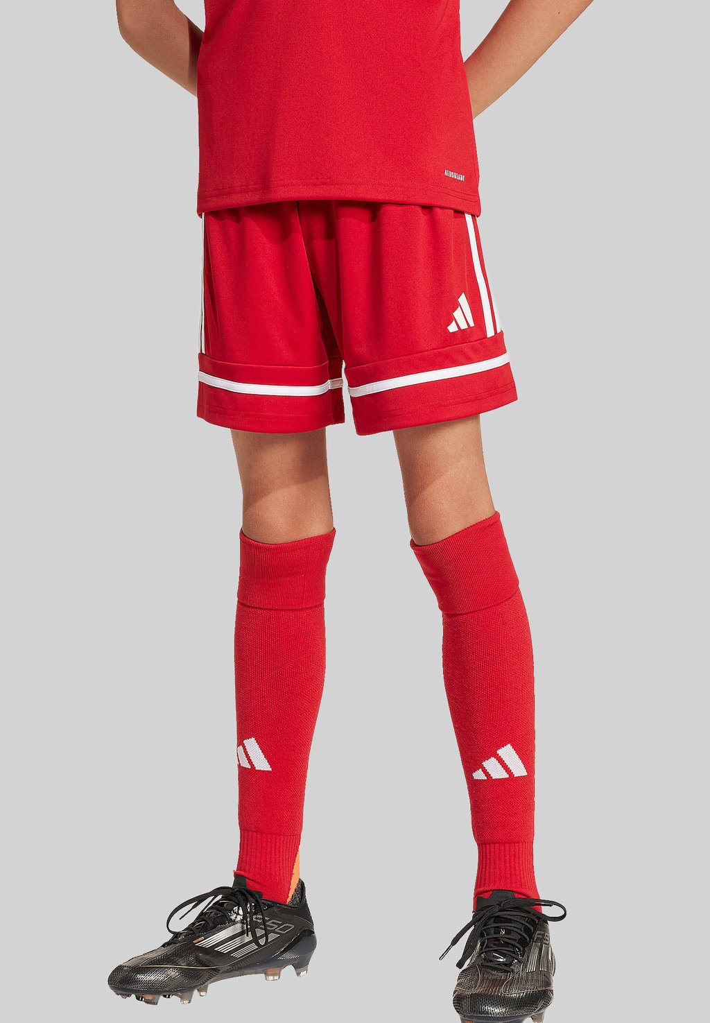 

Спортивные шорты SQUADRA Adidas Performance, красный