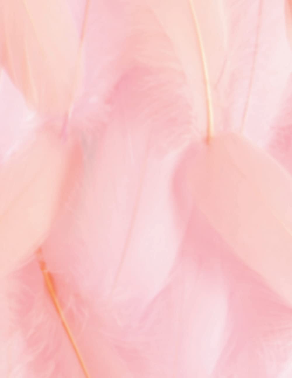 

Adults and Kids Sketch Book 8.5x11 in | Drawing Sketch Book for Kids and Adults with Bright Pink Feathers Cover (Independently published)