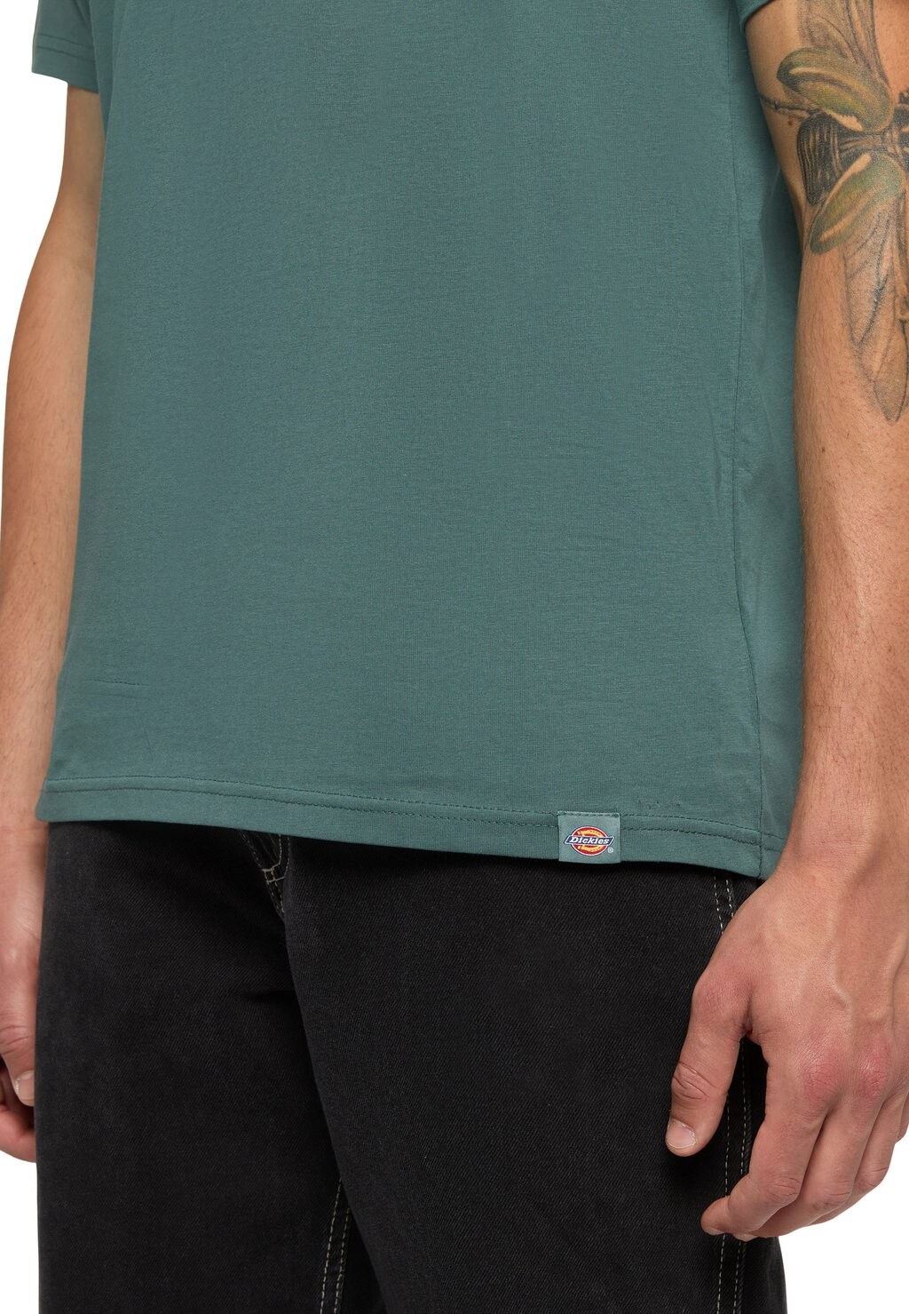 

Футболка с принтом AITKIN Dickies, цвет Lincoln Green Surf Blue