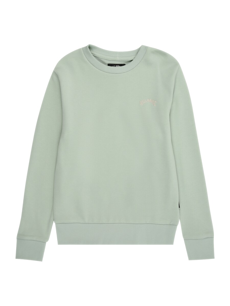 

Спортивная толстовка BILLABONG ARCH, пастельный зеленый