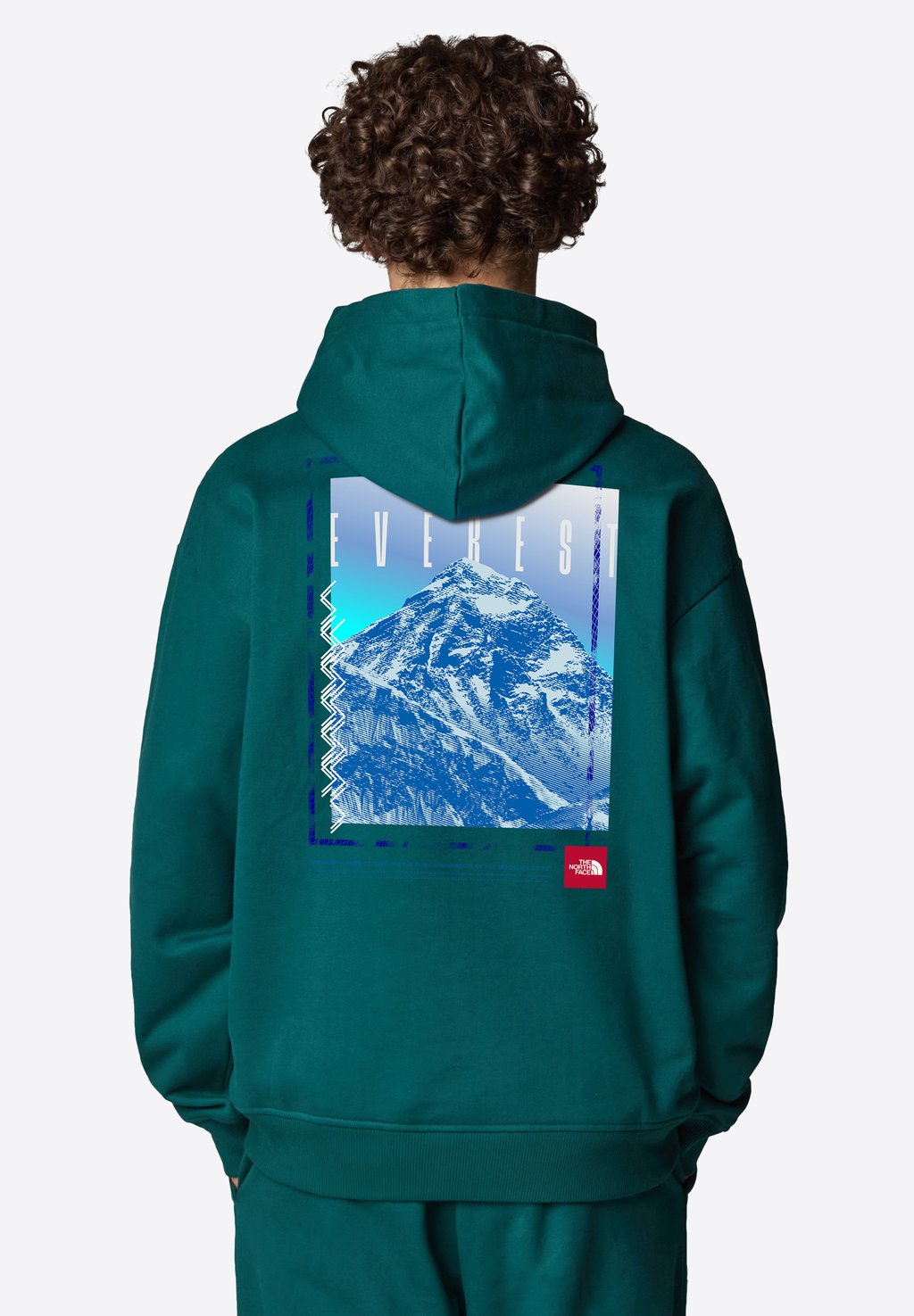 

Толстовка Hoodie The North Face, темно-зеленый