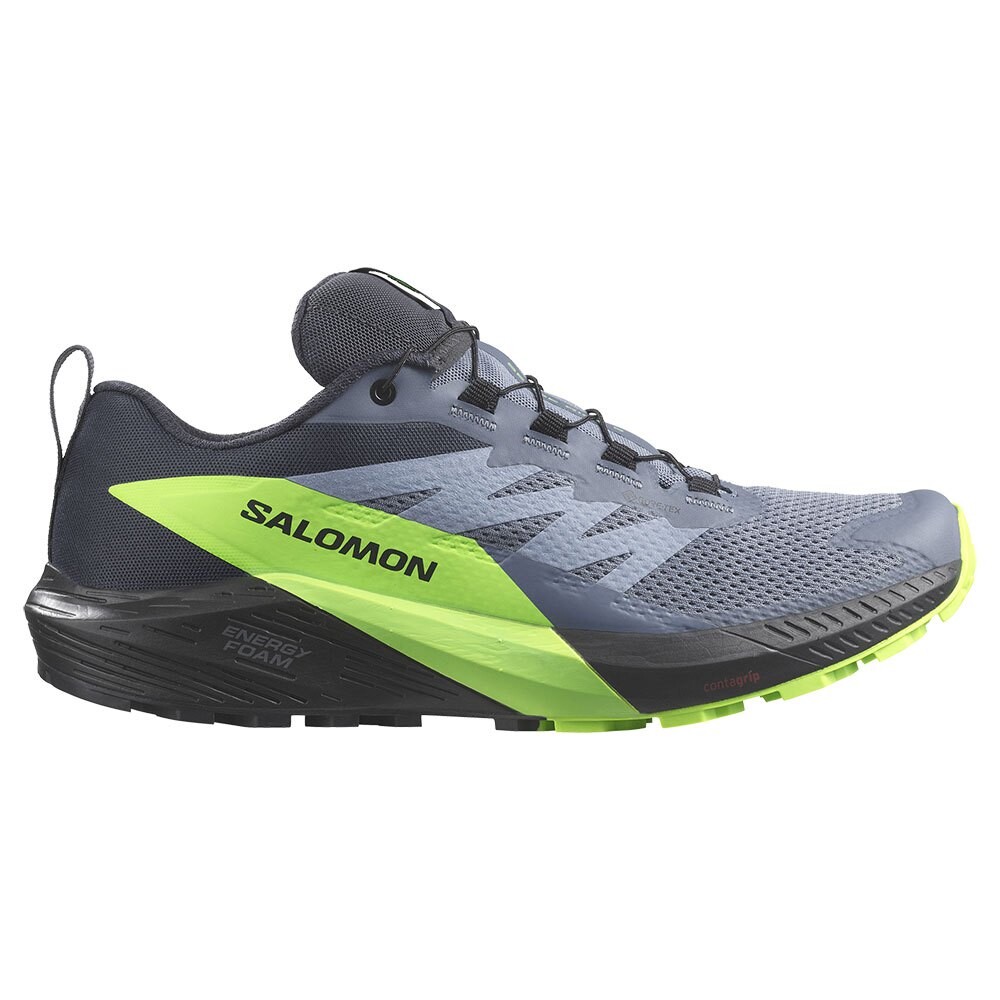 

Кроссовки для бега Salomon Sense Ride 5 Goretex Trail, серый