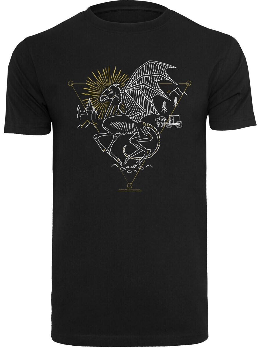 

Классическая футболка F4NT4STIC Shirt, черный